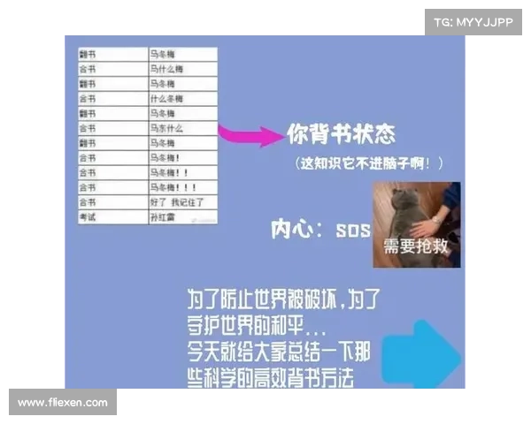 龙腾世纪觉醒必知十大技巧助你成为战场霸主轻松应对挑战 龙腾世纪觉醒必知十大技巧助你成为战场霸主轻松应对挑战