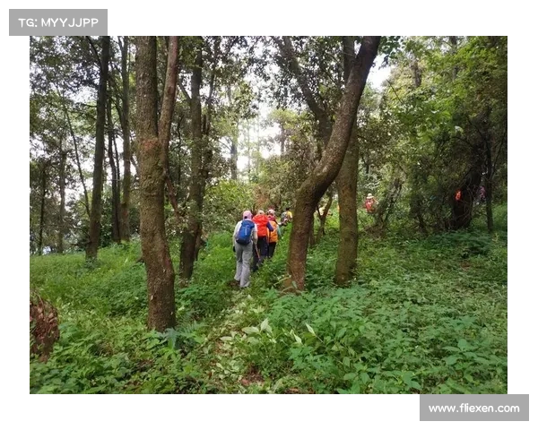 虹光之谜:跨越自然与文化的七彩探索之旅 虹光之谜:跨越自然与文化的七彩探索之旅