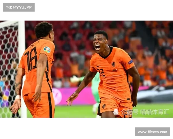 九大视角深度解读荷兰队2022赛季为何放弃经典橙色球衣之谜